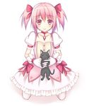  amy_(madoka_magica) bad_id bad_pixiv_id black_cat blush cat dress gloves kaname_madoka kirifrog mahou_shoujo_madoka_magica pink_eyes pink_hair solo twintails 