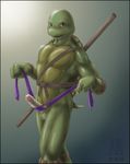  donatello_(tmnt) male penis solo standing teenage_mutant_ninja_turtles turtle zen 