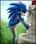  balls hedgehog invalid_tag male mobian nude paws penis pose solo sonic_(series) sonic_the_hedgehog uncut video_games water zen 