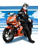 as40728 canine clothing dog eyewear glasses gloves hunk jacket male mammal manful motorcycle pants scott_visnjic scott_visnjic_(artist) solo wolf 