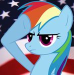 american_flag equine female feral friendship_is_magic horse mammal my_little_pony pony rainbow_dash_(mlp) solo unknown_artist 