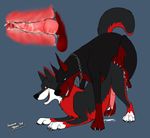 all_fours anal anal_penetration anatomically_correct ass_up black black_fur canine chain collar cum cum_in_ass cum_inside cumshot doggy_position doggystyle feral feral_on_feral from_behind fur fyriwolf666 gay internal knot knotting linkin lying male mammal markings non-anthro on_front orgasm penetration penis red red_belly red_eyes red_markings sex tied wolf 