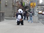  fursuit human new_york panda photo real 
