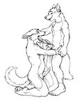  adam_wan canine canine_penis cum dog gay husky knot male oral penis 