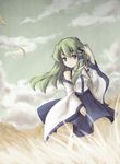  bad_id bad_pixiv_id frog grass green_eyes green_hair highres kochiya_sanae long_hair nishigyou_teraa snake solo touhou 