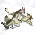  canine couple jackal jaraku male pinned sulacoyote tickle torment white_background 