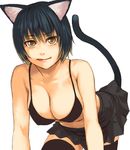  animal_ears bad_id bad_pixiv_id bikini_top black_hair breasts cat_ears cat_tail cleavage large_breasts licking original short_hair solo tail thighhighs yellow_eyes yuuji_(and) 