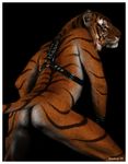  feline male mammal nude photo_manipulation photomorph real solo tiger wookiee_(artist) 