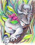  aura_moser auradeva blush bow breasts butt chubby female koala looking_at_viewer lying mammal marsupial nipples nude on_side overweight pussy solo tree wood 