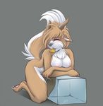  anthro blush breasts canine chest_tuft dog_treat dragon eyes_closed female fur hindpaw horn horns hybrid ice_cube mammal nipples nude paws quadra raised_tail solo thighs tuft wolf 