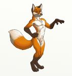  aliester alister balls canine cute fox invalid_tag limp_wrist male mammal nude plain_background solo white_background 