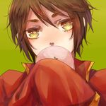  axis_powers_hetalia brown_hair covering_mouth face food hachi_(aimu) hong_kong_(hetalia) male_focus mochi sakura_mochi sleeves_past_wrists solo wagashi yellow_eyes 