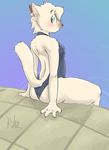  blush cat feline female pool ritts solo swimsuit 