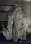  balls canine claws cum fangs grin jazzwolf kneeling looking_at_viewer male muscles nude penis precum solo tail wolf yellow_eyes 