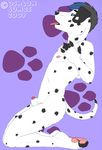  ashton_james_wagner canine dalmatian dog kneeling male nude pocketbat_inc sheath solo 