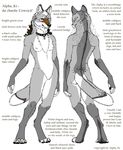  alpha_ki canine chest_tuft collar coyote digitigrade female fursona mane_hair model_sheet nude solo were 