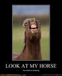  derp epic equine horse hurr meme tagme text 