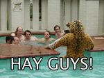 bathing fursuit human jaguar photo pool real reality 