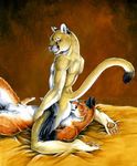 animal_genitalia anthro balls bed canine canine_penis cougar cum duo facesitting feline fox gay heather_bruton hindpaw kneeling knot looking_at_viewer male mammal oral paws penis raised_tail rimming sheath tail 