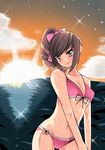  bikini brown_eyes brown_hair female kunoichi_(sengoku_musou) long_hair midriff ocean outdoors pink_ribbon ponytail ribbon sea sengoku_musou sengoku_musou_3 sky solo sun swimsuit water wotaten 