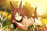  animal_ears bad_id bad_pixiv_id barefoot brown_eyes brown_hair earrings grass infinite_stratos jewelry lying minoinomi nature nohotoke_honne on_stomach one_eye_closed smile solo tail uniform 