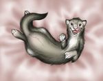  anakuro cute female feral ferret licking licking_lips looking_at_viewer lying mammal mustelid non-anthro on_back open_mouth solo tongue 