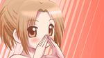  1girl awa brown_eyes brown_hair hidamari_sketch landlady_(hidamari_sketch) lowres ponytail short_hair 