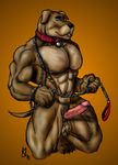  balls bulldog canine collar dog erection leash male mammal muscles penis solo sudonym 