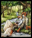  canine couple female forest fox male straight stream tracy_j_butler tree water 