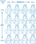  body_type canine chart comparison eric_elliott fat female fox iisaw muscles sketch 