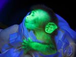  black_background blanket edit fluorescent_green fur green_fur mammal monkey plain_background primate shopped sleeping unknown_artist what_has_science_done young 