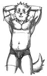  beau bo-gilliam bulge canine male skimpy solo tail underwear 