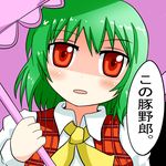  close-up commentary female green_hair kazami_yuuka parasol red_eyes selshia12 touhou translated umbrella youkai 