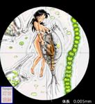  1girl black_hair breasts copepoda guro microscope minigirl nipples nude open_mouth peril see-through toyogub vore 