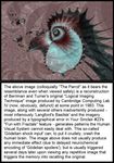  basilisk basilisk_b-1 blit creepypasta david_langford eyefuck fractal g&ouml;delian_shock_input halting_problem meme mindfuck neurology paradox parrot strange_loop unknown_artist virus 