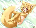 animal_ears bed blonde_hair canine elbow_gloves fang female fox foxgirl hair hat hentai kemonomimi kitsunemimi looking_at_viewer moonlight_flower on_back ragnarok_online red_eyes short_hair soft solo tail thigh_highs unknown_artist 