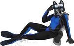  aqualung canine cunningfox female form_fitting goggles solo wetsuit wolf 