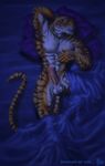  bed feline male mammal muscles penis sleeping solo sudonym tiger 