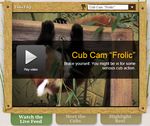  animal cub feral firefox human interspecies mammal phrasing unknown_artist webcam young zoo 