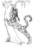  chakat erection feline forestwalker herm intersex leopard nude penis seraph solo stretch taur tree 