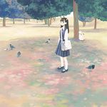  bad_id bad_pixiv_id bag banned_artist bird black_hair kumaori_jun long_hair mary_janes one_side_up original pleated_skirt school_bag school_uniform shoes skirt solo standing tree 