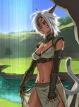  animal_ears armor blue_eyes breasts cat_ears cat_tail cleavage dark_skin day elbow_gloves final_fantasy final_fantasy_xi fingerless_gloves gloves grass highres large_breasts midriff mithra navel quot short_hair sky solo tail tan water wet white_hair 