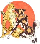  african_wild_dog canine cheetah couple dog feline female hindpaw kissing kneeling looking_at_each_other male nude raised_tail straight tail 