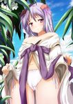  baldr_sky baldr_sky_core_defender cameltoe character_request fujioka_toki hair_ornament panties robe side-tie_panties solo tree underwear 