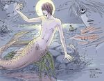  death_note male male_focus mermaid merman monster_boy monster_girl multiple_boys nude outdoors sky solo yagami_light 