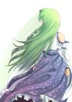  detached_sleeves frog from_behind green_hair hair_ornament highres kinntarou kochiya_sanae long_hair solo touhou 