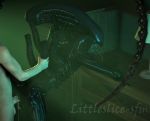  3d_(artwork) alien alien_(franchise) cum cum_in_pussy cum_inside digital_media_(artwork) female human interspecies littleslice-sfm male mammal penetration penis sex source_filmmaker xenomorph 