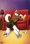  boxers bulge canine dog husky male mammal microsoft sofa solo underwear xbox 
