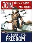  airplane allies ambiguous_gender english_text kacey military never_forget pilot poster propaganda rodent squirrel wwii 