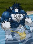  blue bulge canine male muscles pool rackun skimpy solo speedo swimsuit topless underwear water wolf yellow 